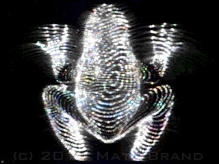 frog hologram video