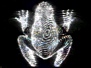 trefoil frog hologram